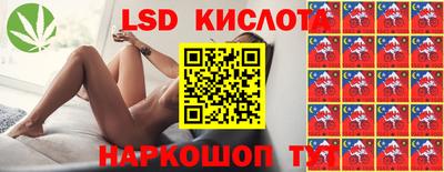 гашик Будённовск