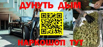 гашик Будённовск